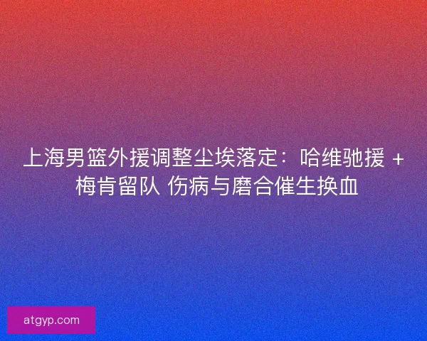 上海男篮外援调整尘埃落定：哈维驰援 + 梅肯留队 伤病与磨合催生换血