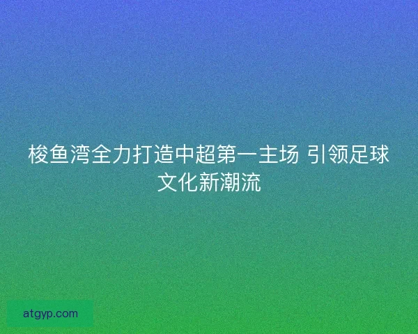 梭鱼湾全力打造中超第一主场 引领足球文化新潮流