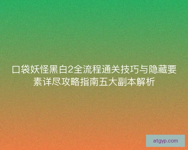 口袋妖怪黑白2全流程通关技巧与隐藏要素详尽攻略指南五大副本解析